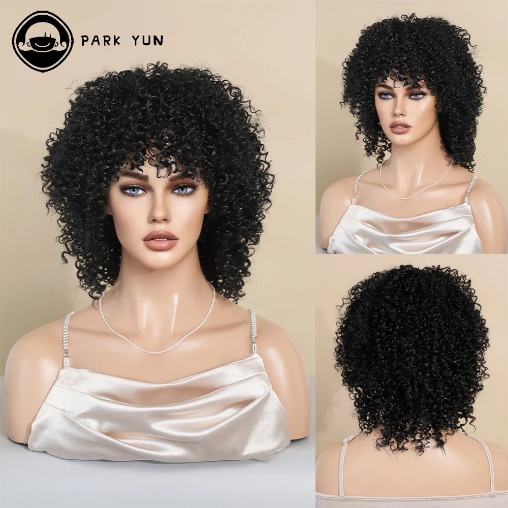 Perruque Afro Courte Bouclée pour Femmes Noires